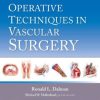 Operative Techniques in Vascular Surgery (EPUB)