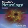 Merritt’s Neurology, 13th Edition (EPUB)