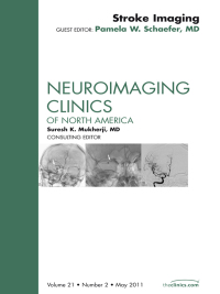 Stroke Imaging, An Issue of Neuroimaging Clinics (Original PDF from Publisher)