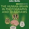 The Human Brain in Photographs and Diagrams, 4e (Original PDF from Publisher)