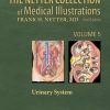 The Netter Collection of Medical Illustrations – Urinary System: Volume 5, 2nd edition (Original PDF from Publisher)