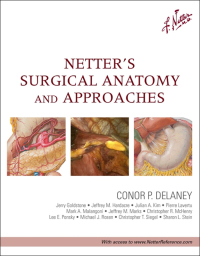 Netter’s Surgical Anatomy and Approaches (RETAIL PDF from Publisher)