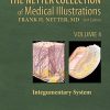 The Netter Collection of Medical Illustrations – Integumentary System: Volume 4, 2nd Edition (Original PDF from Publisher)