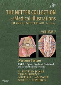 The Netter Collection of Medical Illustrations: Nervous System, Volume 7, Part II – Spinal Cord and Peripheral Motor and Sensory Systems, 2nd Edition (Netter Green Book Collection) (Original PDF from Publisher)