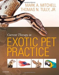 Current Therapy in Exotic Pet Practice