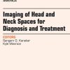 Imaging of Head and Neck Spaces for Diagnosis and Treatment, An Issue of Otolaryngologic Clinics (The Clinics: Internal Medicine) (Original PDF from Publisher)
