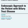 Endolumenal Therapy, An Issue of Gastrointestinal Endoscopy Clinics (The Clinics: Internal Medicine) (Original PDF from Publisher)