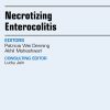 Necrotizing Enterocolitis, An Issue of Clinics in Perinatology (The Clinics: Internal Medicine) (Original PDF from Publisher)