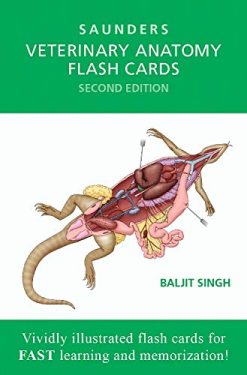 Veterinary Anatomy Flash Cards, 2nd Edition (Original PDF from Publisher)