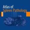 Atlas of Spleen Pathology