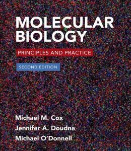 Molecular Biology: Principles and Practice, 2nd Edition (Original PDF from Publisher)