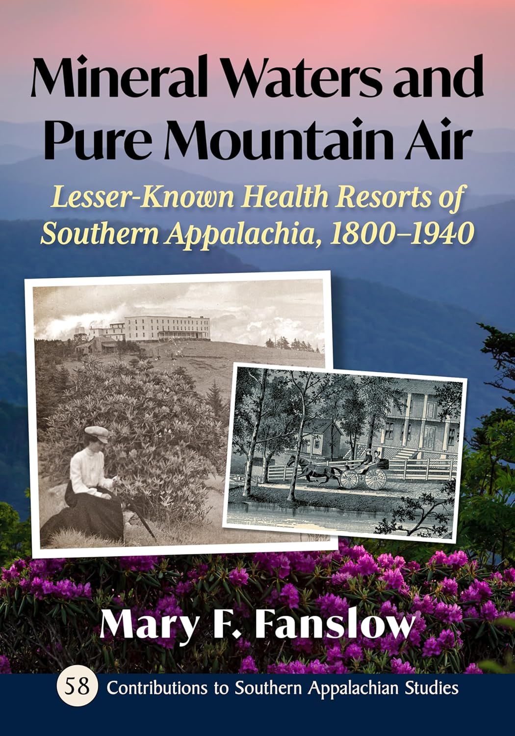 Mineral Waters and Pure Mountain Air: Lesser-Known Health Resorts of Southern Appalachia, 1800-1940 (Contributions to Southern Appalachian Studies, 58) (EPUB)