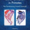 Induction of Bone Formation in Primates: The Transforming Growth Factor-Beta 3