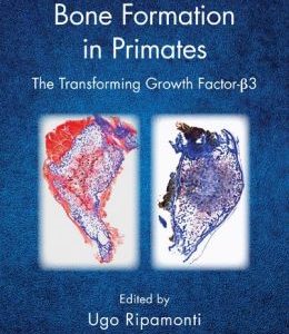 Induction of Bone Formation in Primates: The Transforming Growth Factor-Beta 3