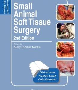 Small Animal Soft Tissue Surgery: Self-Assessment Color Review, Second Edition