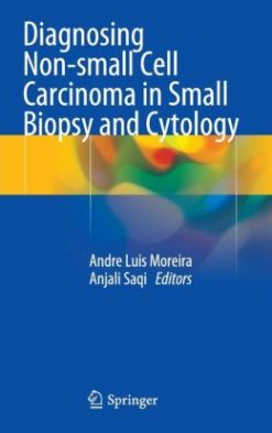 Diagnosing Non-small Cell Carcinoma in Small Biopsy and Cytology