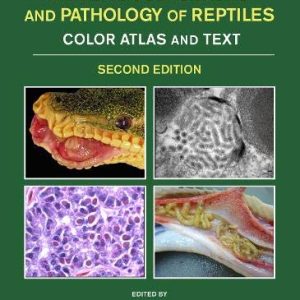 Infectious Diseases and Pathology of Reptiles: Color Atlas and Text, Diseases and Pathology of Reptiles, Volume 1, 2nd Edition (Original PDF from Publisher)