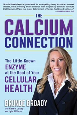 The Calcium Connection: The Little-Known Enzyme at the Root of Your Cellular Health (Epub)