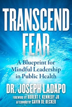 Transcend Fear: A Blueprint for Mindful Leadership in Public Health (Original PDF from Publisher)