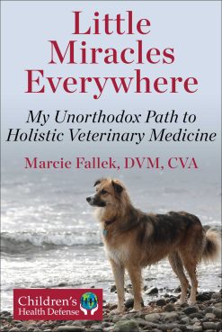 Little Miracles Everywhere: My Unorthodox Path to Holistic Veterinary Medicine (EPUB)