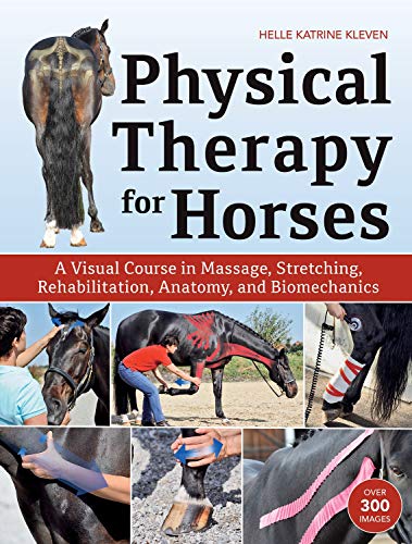 Physical Therapy for Horses: A Visual Course in Massage, Stretching, Rehabilitation, Anatomy, and Biomechanics (EPUB)
