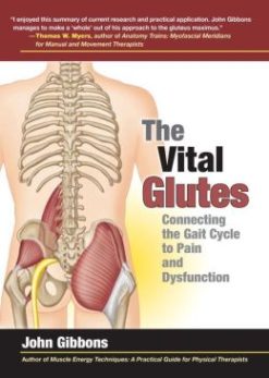 The Vital Glutes: Connecting the Gait Cycle to Pain and Dysfunction (EPUB)