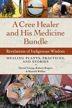 A Cree Healer and His Medicine Bundle: Revelations of Indigenous Wisdom–Healing Plants, Practices, and Stories (EPUB)