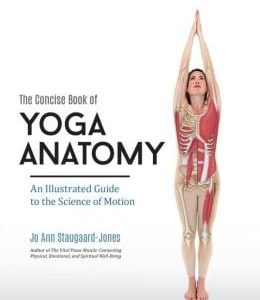 The Concise Book of Yoga Anatomy: An Illustrated Guide to the Science of Motion (EPUB)