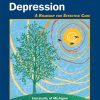 Treatment Resistant Depression: A Roadmap for Effective Care (Original PDF from Publisher)