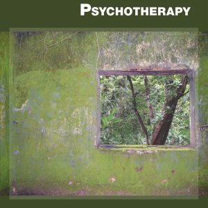 Principles and Techniques of Trauma-Centered Psychotherapy (Original PDF from Publisher)