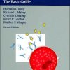 Allergy in ENT Practice: The Basic Guide, 2nd Edition