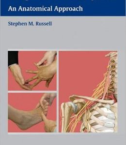 Examination of Peripheral Nerve Injuries: An Anatomical Approach