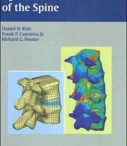 Dynamic Reconstruction of the Spine