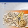 Roeser’s Audiology Desk Reference, 2ed (Original PDF from Publisher)