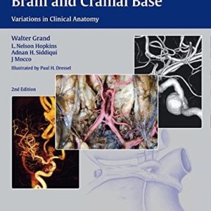 Vasculature of the Brain and Cranial Base (PDF)
