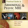 Practical Guide to Abdominal and Pelvic MRI, 2nd Edition (CHM)