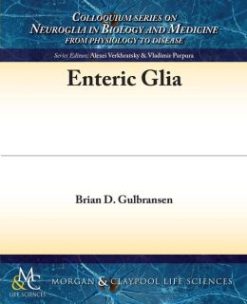 Enteric Glia (Original PDF from Publisher)