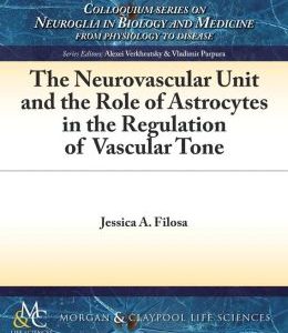 The Neurovascular Unit and the Role of Astrocytes in the Regulation of Vascular Tone