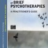 The Art and Science of Brief Psychotherapies: An Illustrated Guide, 3rd Edition (EPUB)
