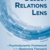 The Object Relations Lens: A Psychodynamic Framework for the Beginning Therapist (Original PDF from Publisher)