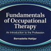 Fundamentals of Occupational Therapy: An Introduction to the Profession (Original PDF from Publisher)