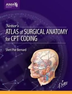 Netter’s Atlas of Surgical Anatomy for CPT Coding