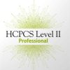 HCPCS 2019 Level II Professional (HCPCS Level II (American Medical Assn)) (Original PDF from Publisher)