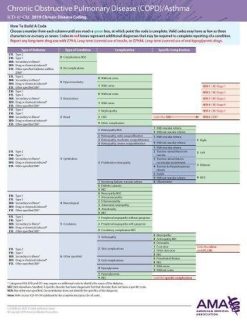 ERC-ICD-10 Chronic Disease 2019 – Copd/Asthma/pneumonia (EPUB)