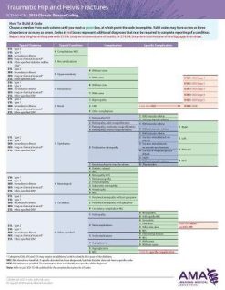 ERC-ICD-10 Chronic Disease 2019 – Hip and Pelvic Fractures/Arthritis/osteoporosis (EPUB)