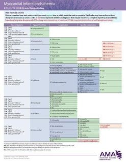 ERC-ICD-10 Chronic Disease 2019 – Myocardial Infarction/Ischemia/heart Failure/Dysrhythmia (EPUB)