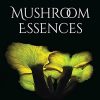 Mushroom Essences: Vibrational Healing from the Kingdom Fungi (EPUB)