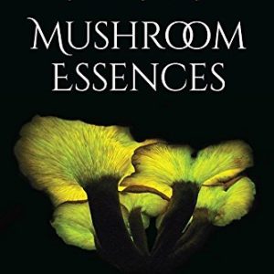 Mushroom Essences: Vibrational Healing from the Kingdom Fungi (EPUB)