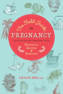 The Field Guide to Pregnancy: Navigating New Territory with Research, Recipes, and Remedies (EPUB)