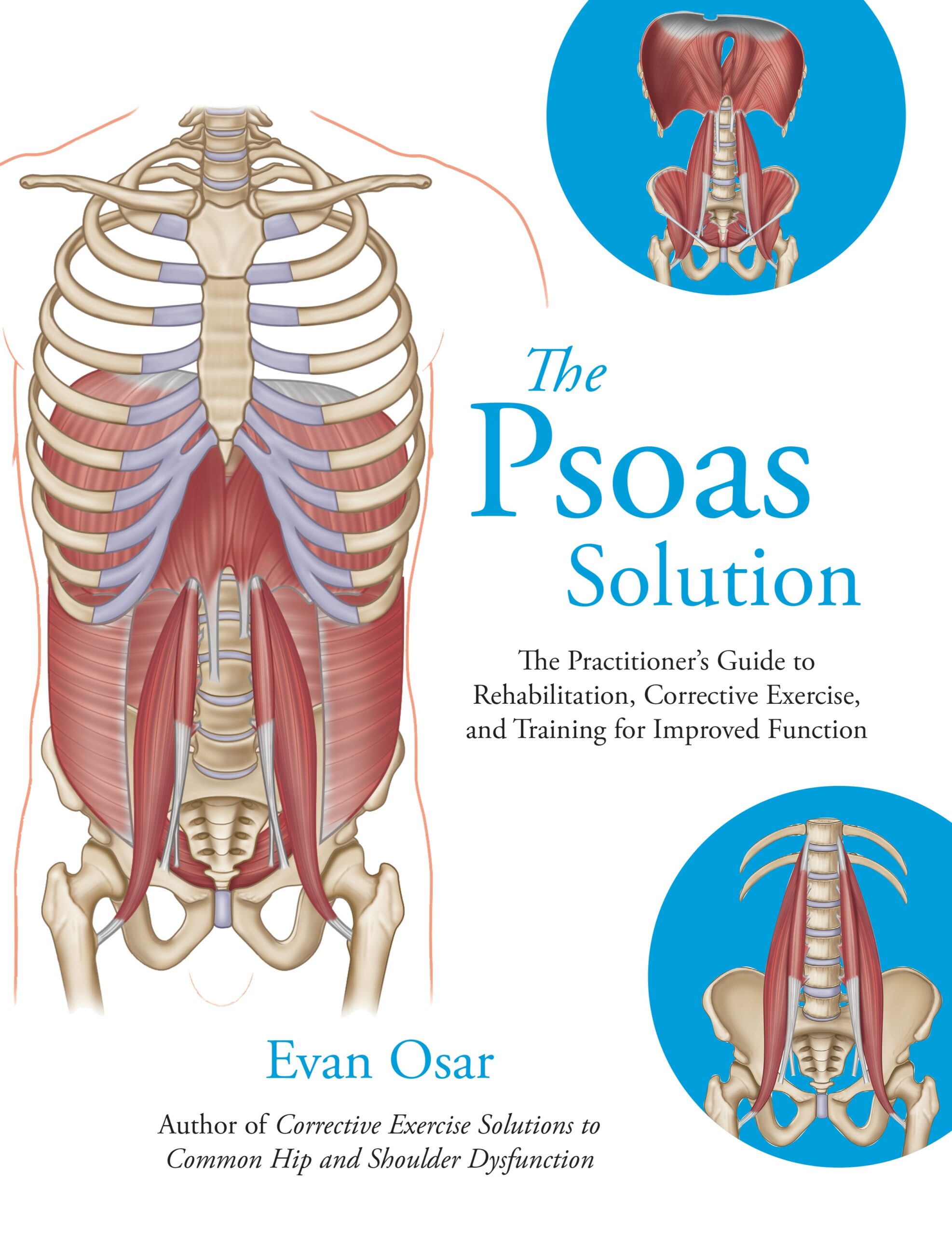 The Psoas Solution: The Practitioner’s Guide to Rehabilitation, Corrective Exercise, and Training for Improved Function (EPUB)